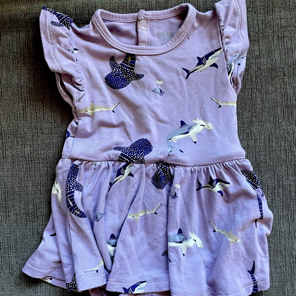 Kyte baby dress 3-6m NWOT